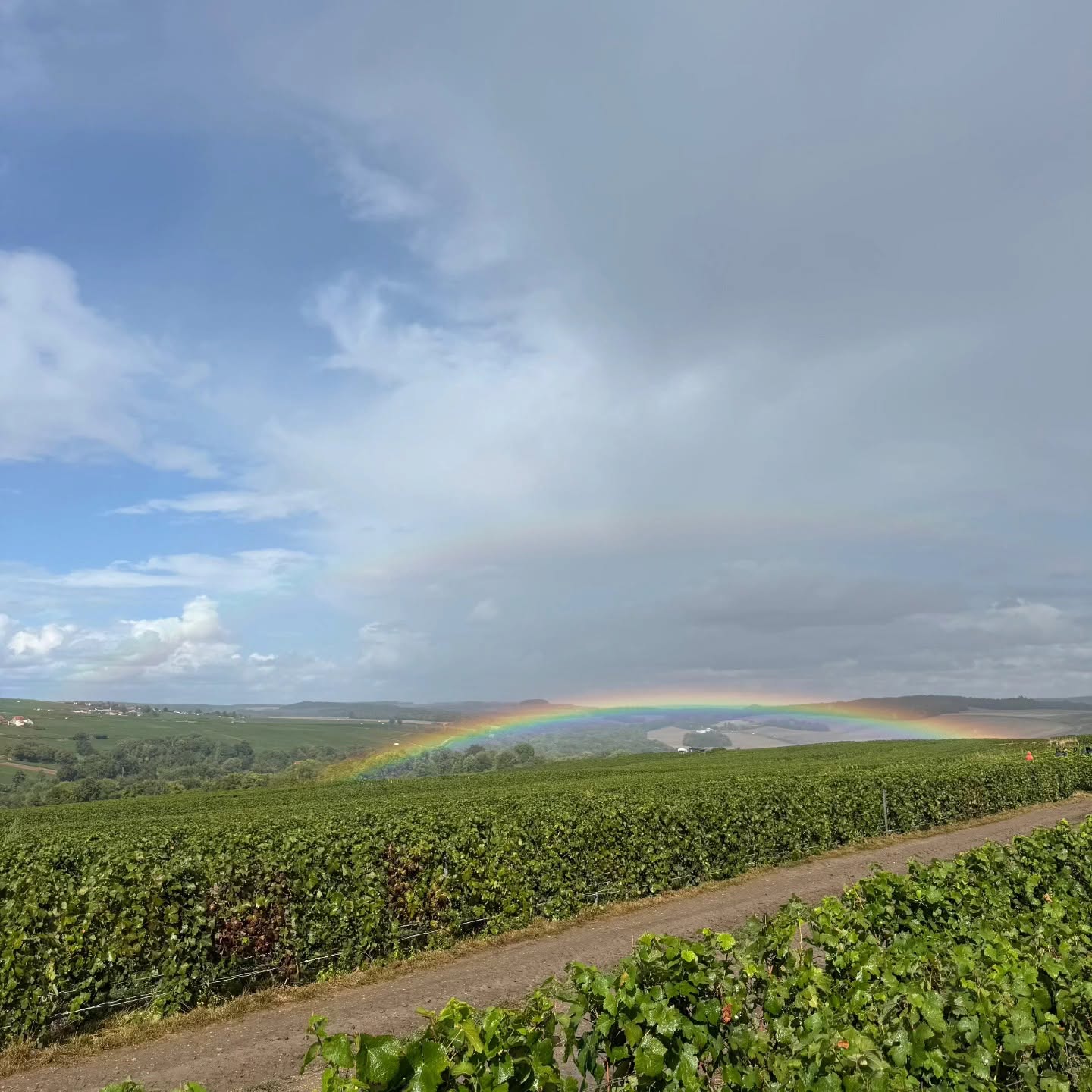 Champagne Jean-Michel Pelletier - Un terroir,  un vignoble...